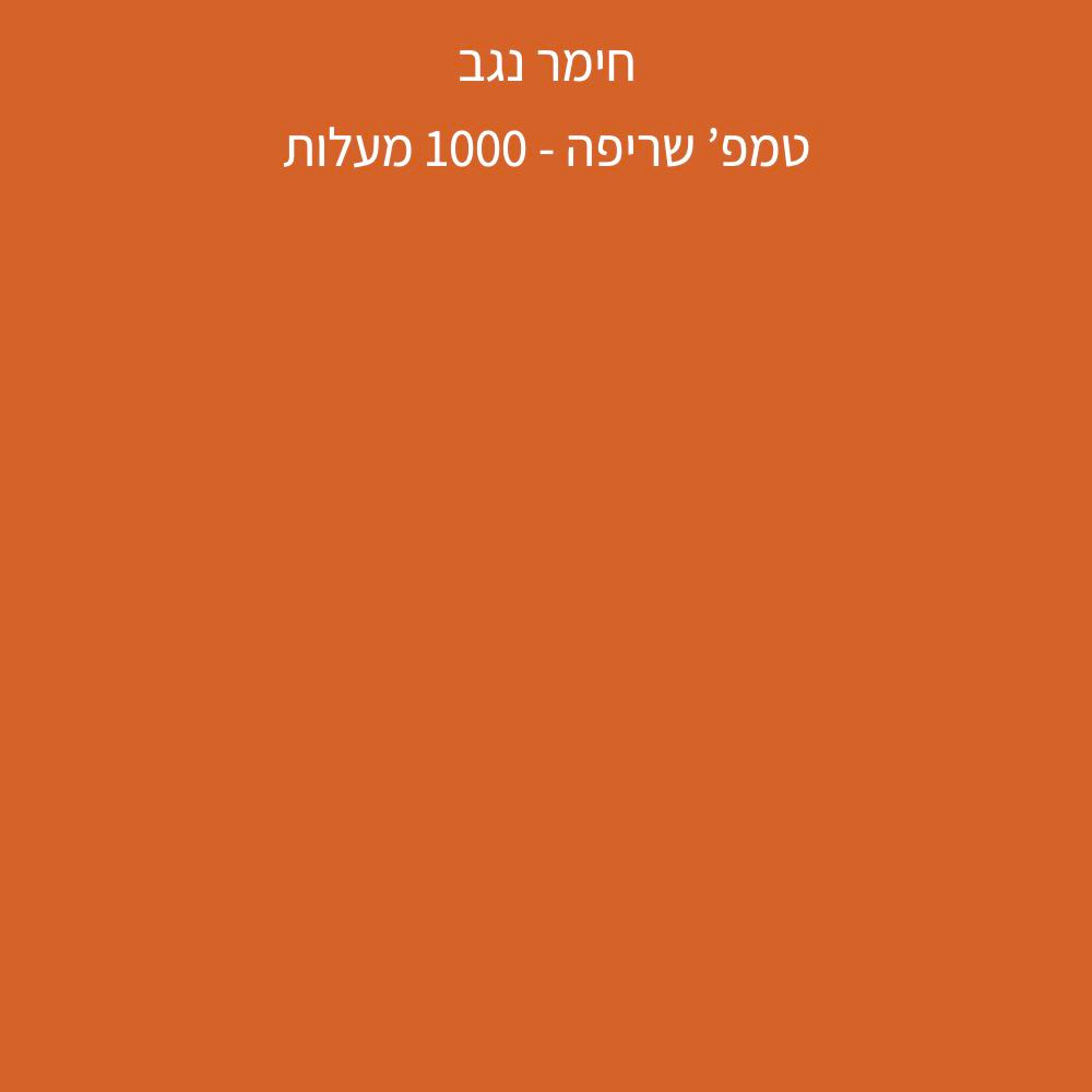 חימר נגב - שמוט 0.2 - NEGEV 1502 – תמונה 2