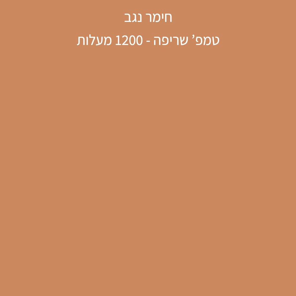 חימר נגב - שמוט 0.2 - NEGEV 1502 – תמונה 3