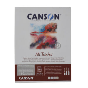 בלוק רישום לפחם ופסטל -  Mi-Teintes גווני אפור - Canson