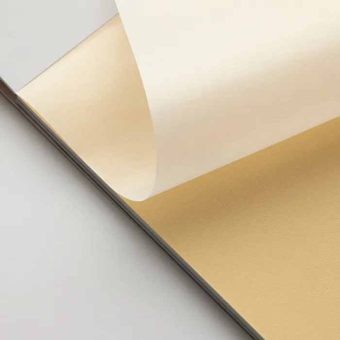 בלוק פסטל מט דגם 1 - Rhodia Pastelmat – תמונה 2