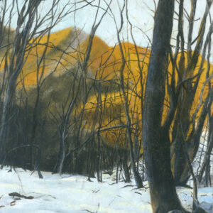 רשימת ציוד לקורס - חומרים מהקלמר: התרשמות בצבע