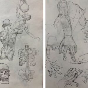 רשימת ציוד לקורס - רישום אנטומי של גוף האדם