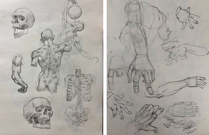 רשימת ציוד לקורס - רישום אנטומי של גוף האדם