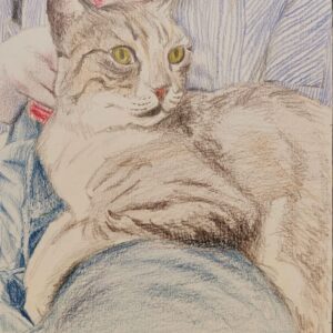 חומרים מהקלמר: כל הטכניקות