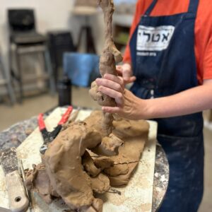 חתיכת בוץ מתוחכמת