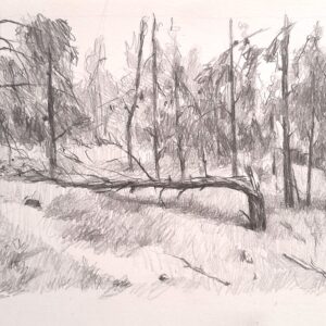 התרשמות של נוף