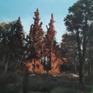 רשימת ציוד לקורס ציור בהנחיית רונית גולדשמידט