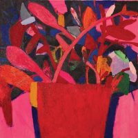 cd3b51_a256f606c9da4e6a9febd4c7ec57ff5f~mv2