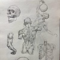 cd3b51_ae5afe38c6c34f9aa50a6f693458d883~mv2