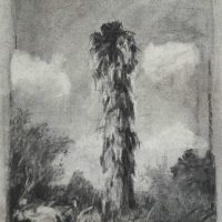 cd3b51_b60bff47a06f46ee97ac77d16ef629f9~mv2